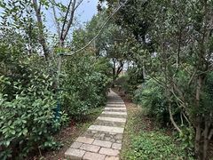 -雨花胜境