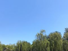 -尚庄度假村·庭台树下·户外烧烤·团建CS·轰趴营地(上庄水库店)