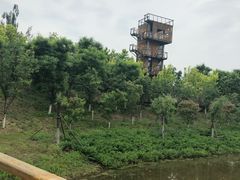 -东郊湿地公园