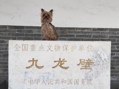 -九龙壁