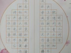 -赵汝飞练字硬笔书法(博泰国际校区)