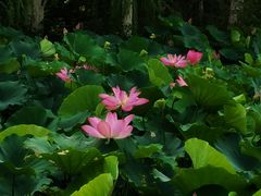 -厦门国家会计学院