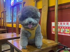 -老袁羊板筋(农光路店)