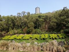 -深圳国际园林花卉博览园