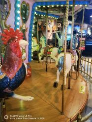 -卡通尼·Safari非洲探索乐园·生日会(金桥国际商业广场店)