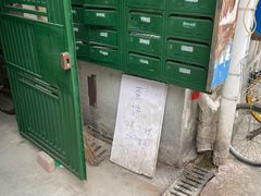 -水丰路鸡蛋饼