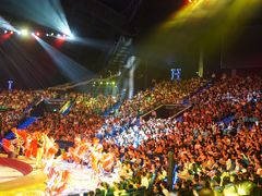 -珠海横琴长隆《卡卡虎奇遇记》