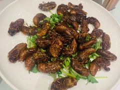 -杨氏青龙虾·羊蝎子(金盛路总店)