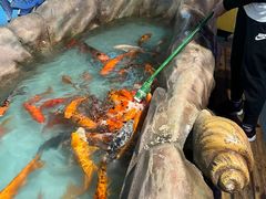 -海合安成都极地海洋公园