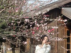 -桃花岛景观公园