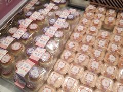 -格瑞思动物奶油生日蛋糕(园区永旺店)