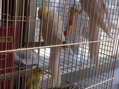 -潇湘·永州会馆(百子湾店)