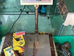 -辉记虾塘海鲜农庄