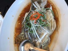-逸林轩中餐厅(中信泰富朱家角锦江酒店)