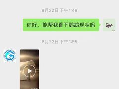 -瑞派·关忠动物医院·异宠专科·犬猫肿瘤·皮肤专科(望京店)