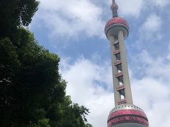 -上海海洋水族馆