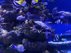 -成都浩海立方海洋公园