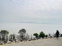 -深圳湾公园(南山区)