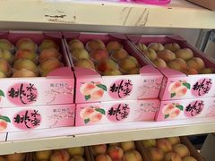 -南汇新场正宗水蜜桃采摘