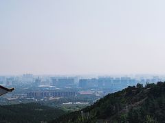-大青山野生动物园