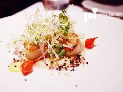 -蝶舍·MAISON PAPILLON