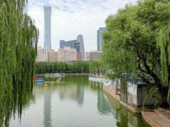 -团结湖公园