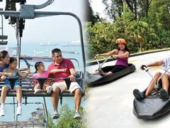 -圣淘沙天际线斜坡滑车