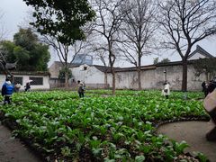 -绍兴鲁迅故里·沈园景区