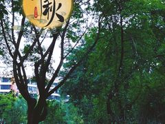 -沙河三洞古桥公园