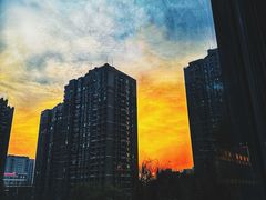 -极斗-IKMF马伽术·格斗运动学院(东直门店)