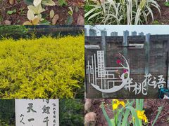 -重庆彩云湖湿地公园