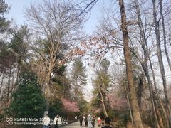 -大蜀山国家森林公园