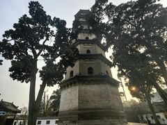 -合肥滨湖国家森林公园