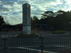 -深圳湾公园-停车场