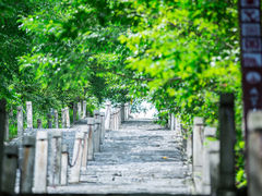 -九皇山景区