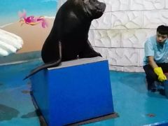 -泉城欧乐堡海洋极地世界