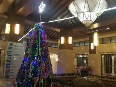 -宜春明月山维景国际温泉度假酒店