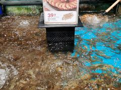 -盒马鲜生(皇庭广场店)