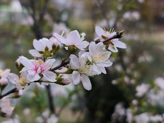 -苏州上方山国家森林公园