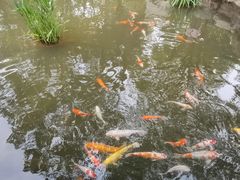 -古琴台