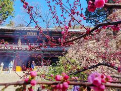 -潭柘寺景区