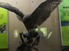 -陕西自然博物馆