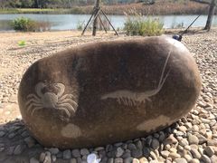 -昆山城市生态森林公园