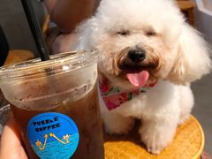 -PUZZLE COFFEE 拼图咖啡