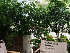 -Beans Solo豆号咖啡(百家湖花园店)