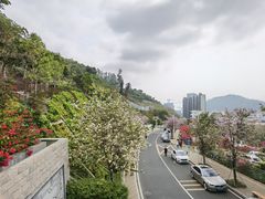 -小南山公园