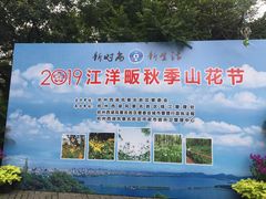 -西湖风景区-江洋畈生态公园