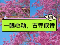 -天竺岩寺