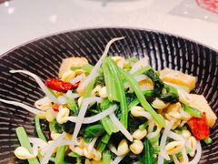 菠菜豆芽拌面筋-汉唐宴长安食府