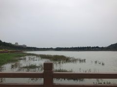 -艾米稻香小镇
